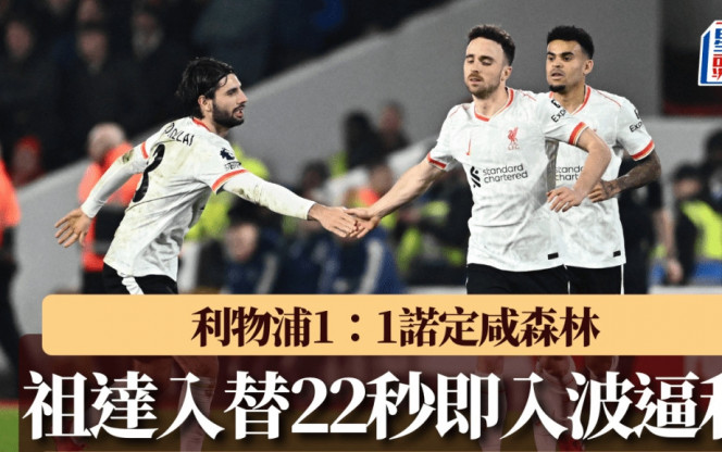 球迷對於英